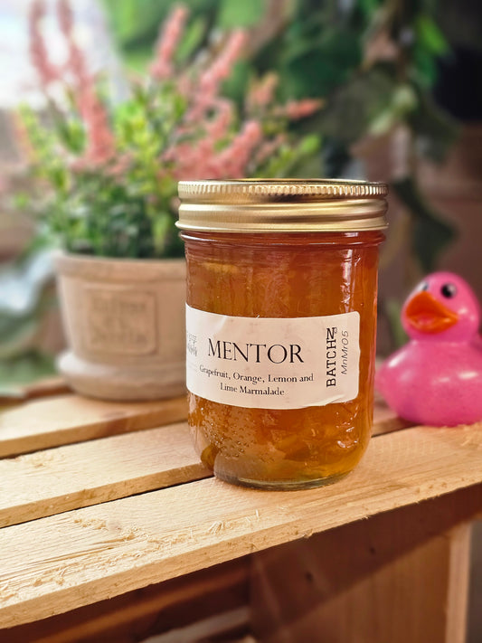 Mentor marmalade