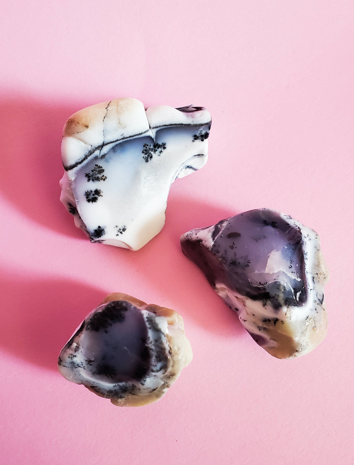 Polished Dendritic Opal