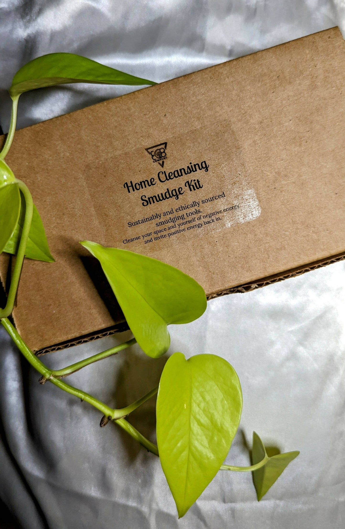 Home Cleansing Smudge Kit