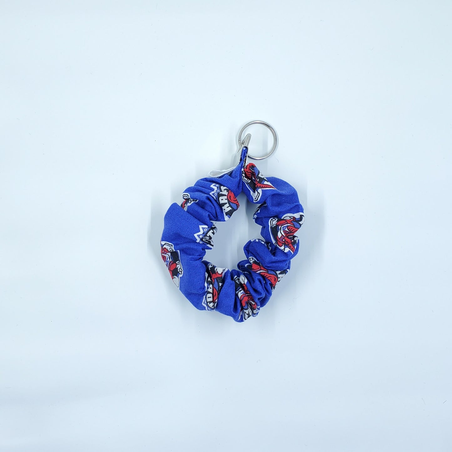 Raptors Scrunchie Keychain