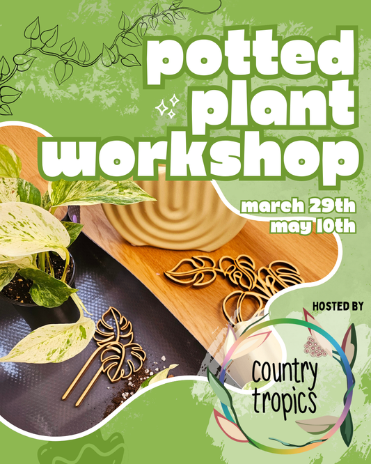 Potted Plant workshop