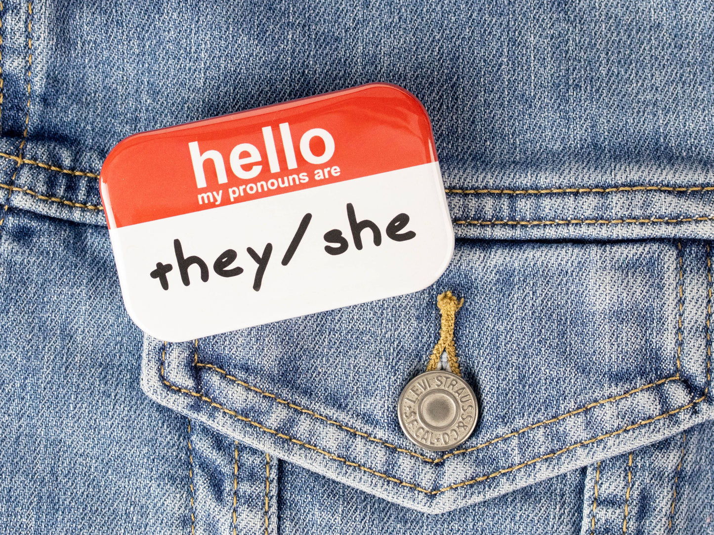 Hello My Pronouns Are They/She Button