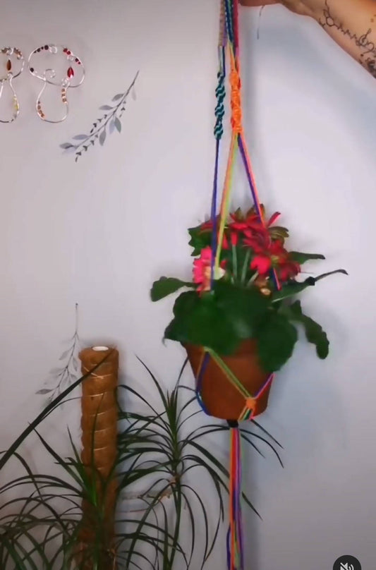 Rainbow plant hanger