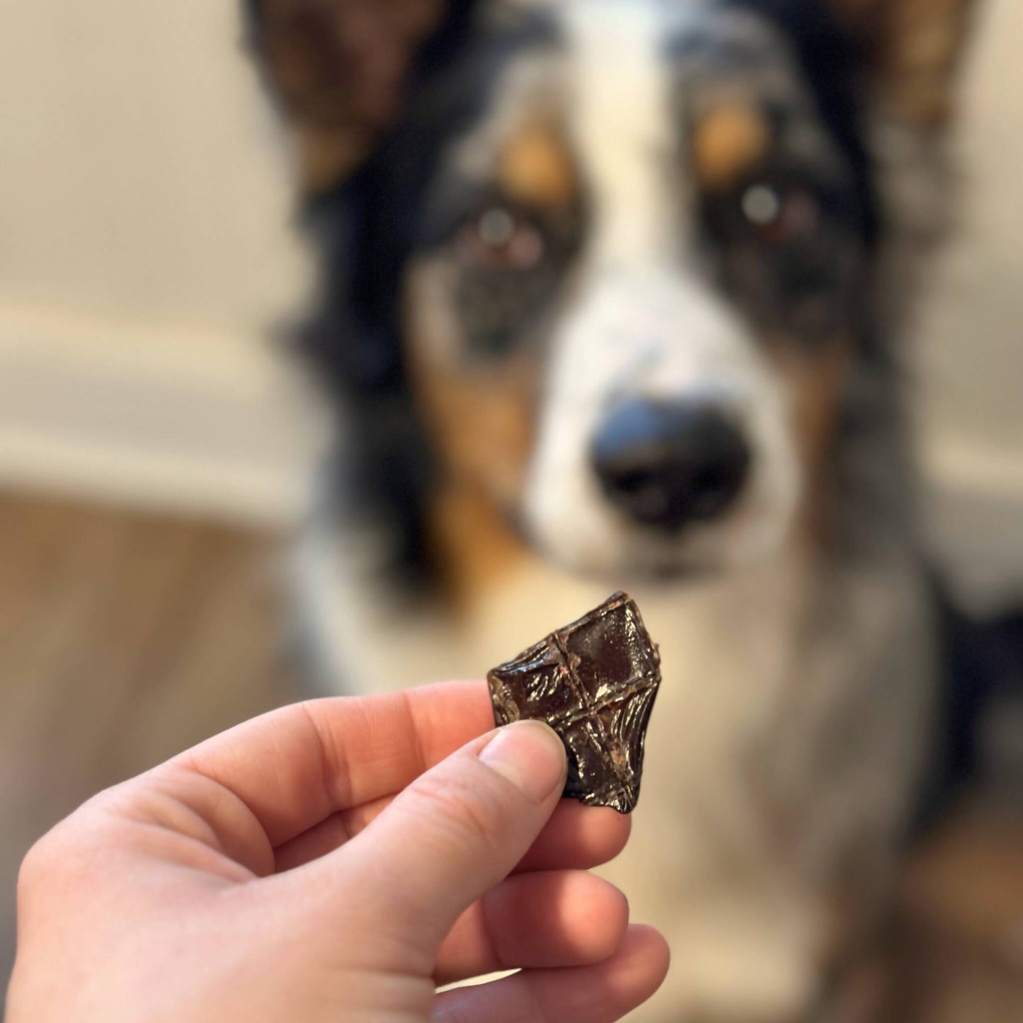 Beef Liver Dog Treat