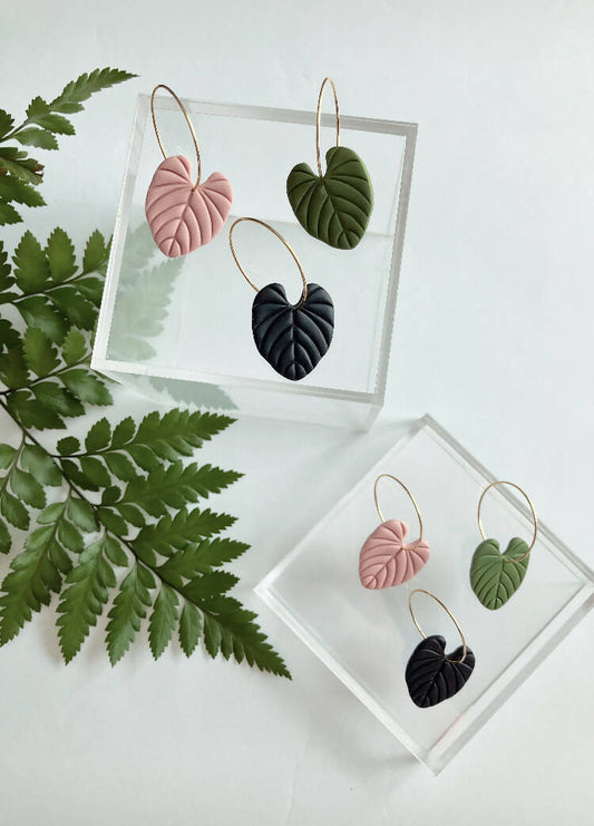 Philodendron hoops